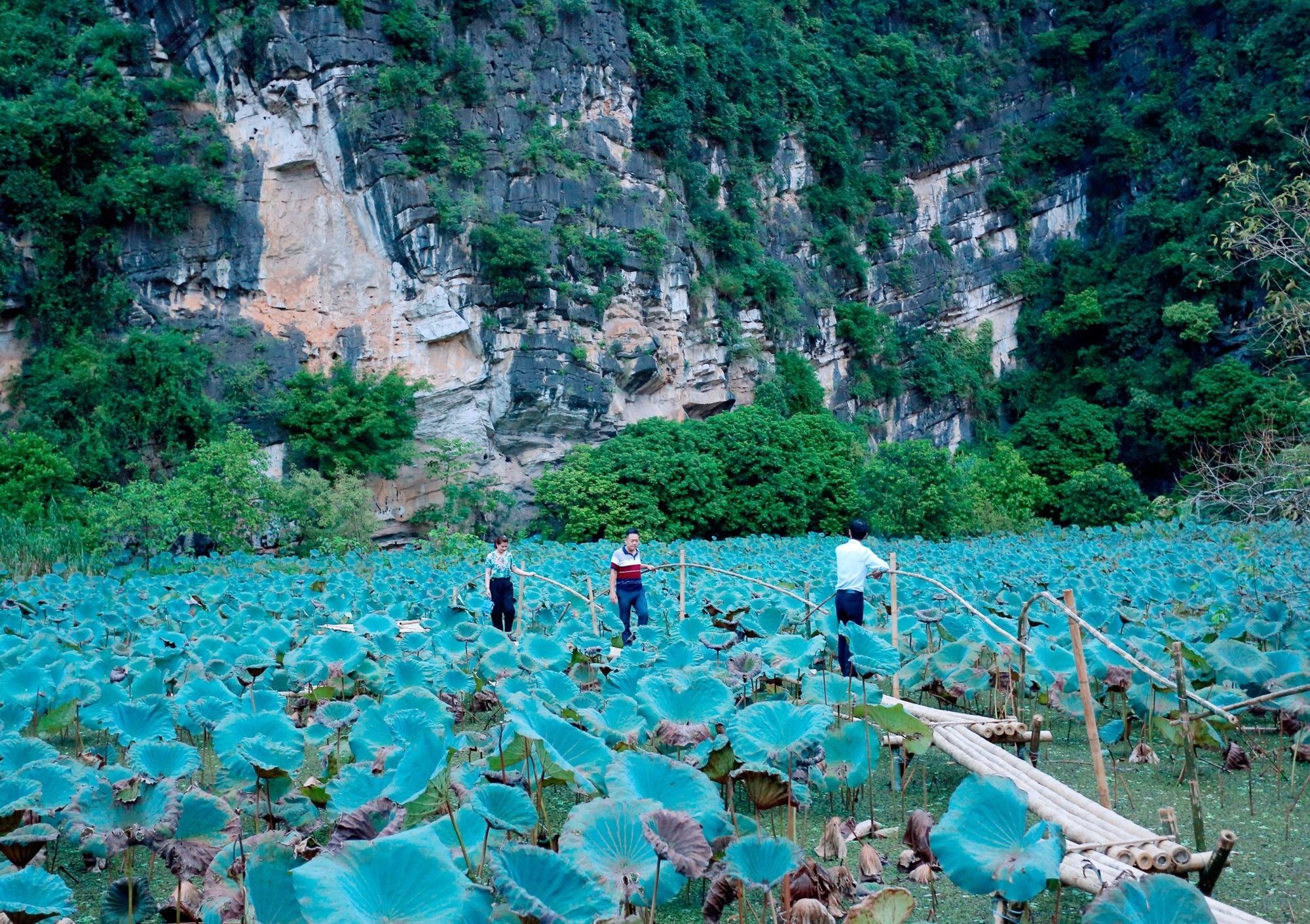 Trang An Heritage Garden Ninh Bình Extérieur photo
